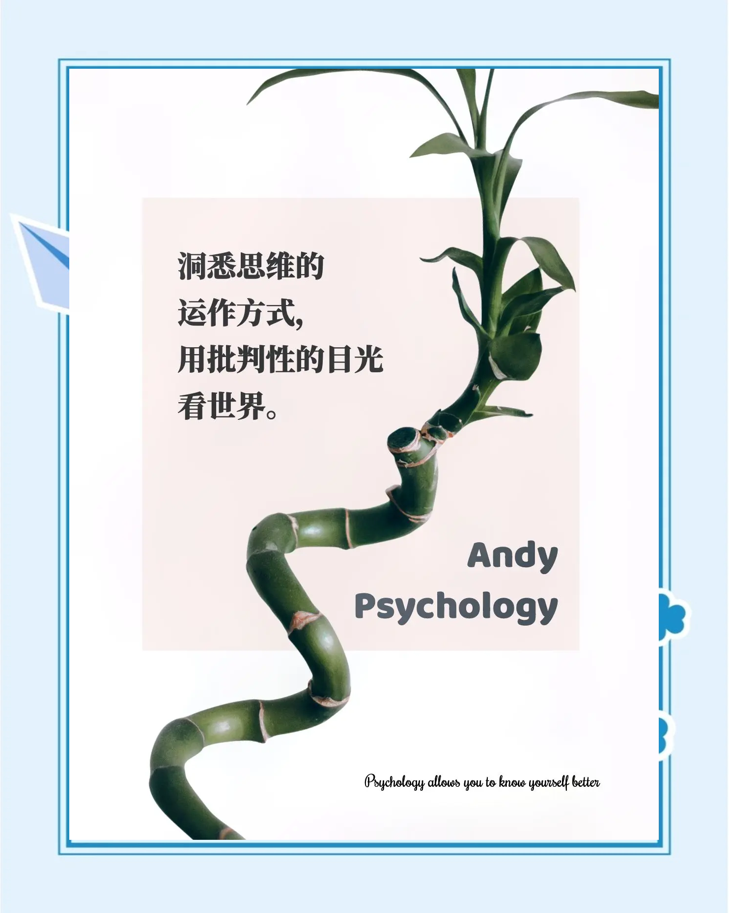 抖音公布算法原理 多样化推荐打破“信息茧房”