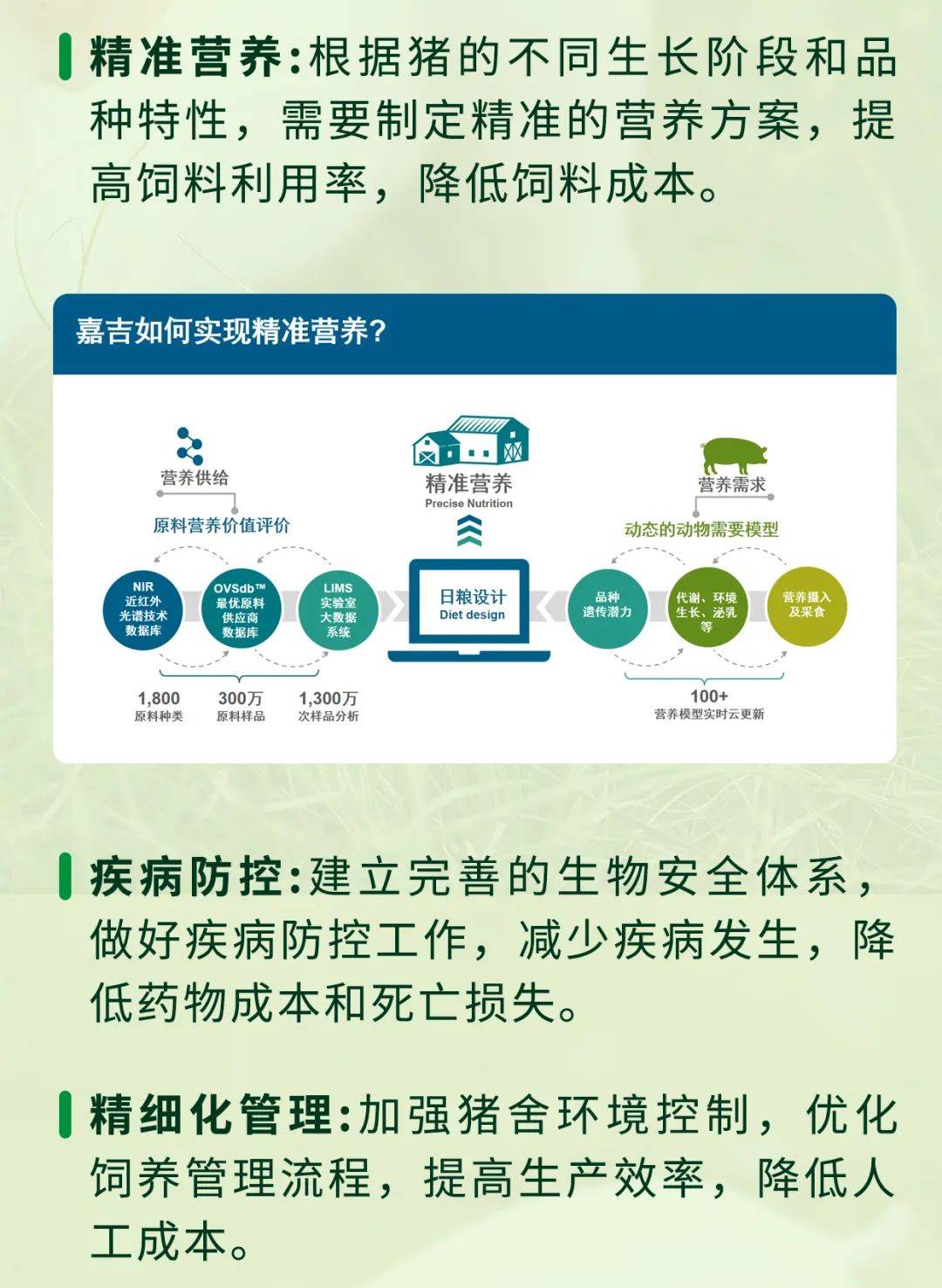 美农生物：2025年将聚焦猪和反刍、突破家禽、布局水产