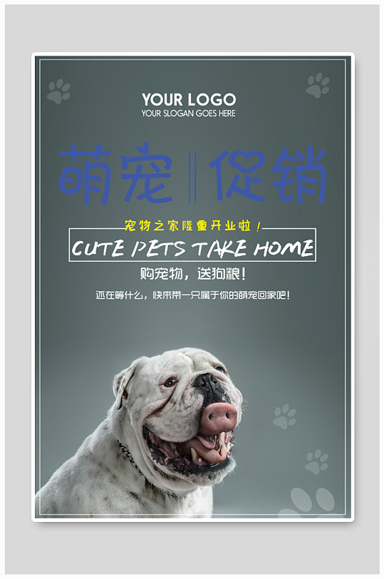 永安药业：孙公司福维乐宠物食品（武汉）有限公司宠物业务相关筹备工作正在稳步推进中