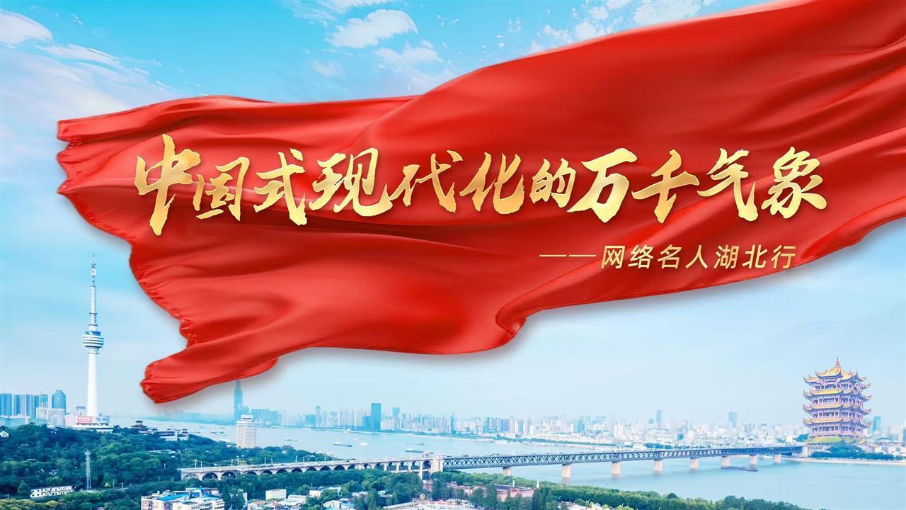 低空经济振翅时，安全之翼需固牢