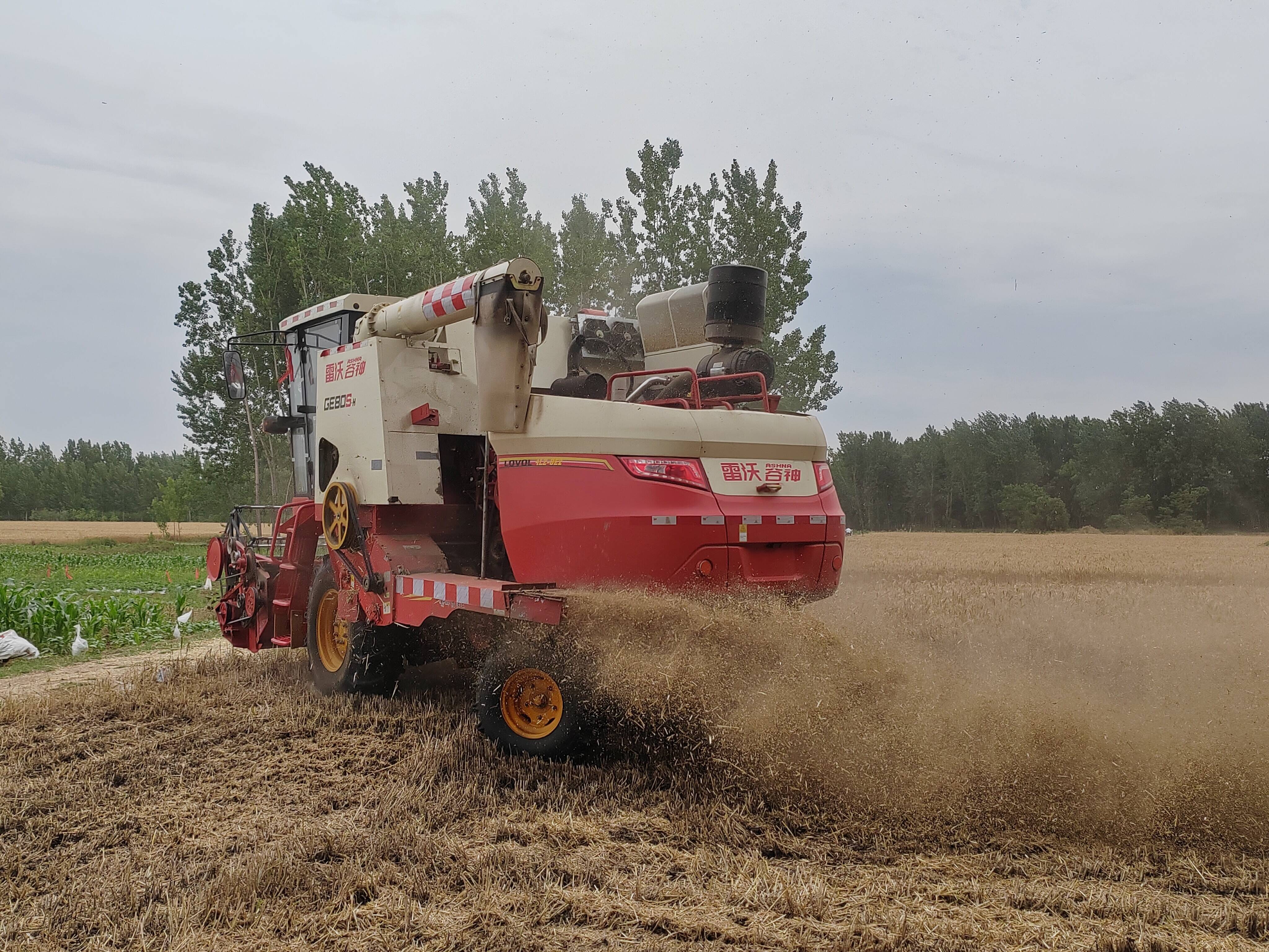 夏粮抢收，1700万台套农机具战“三夏”