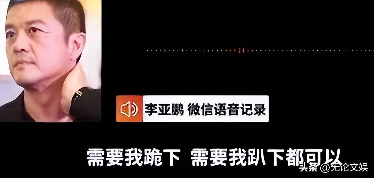 李亚鹏否认丽江项目失败：两年卖了70个亿