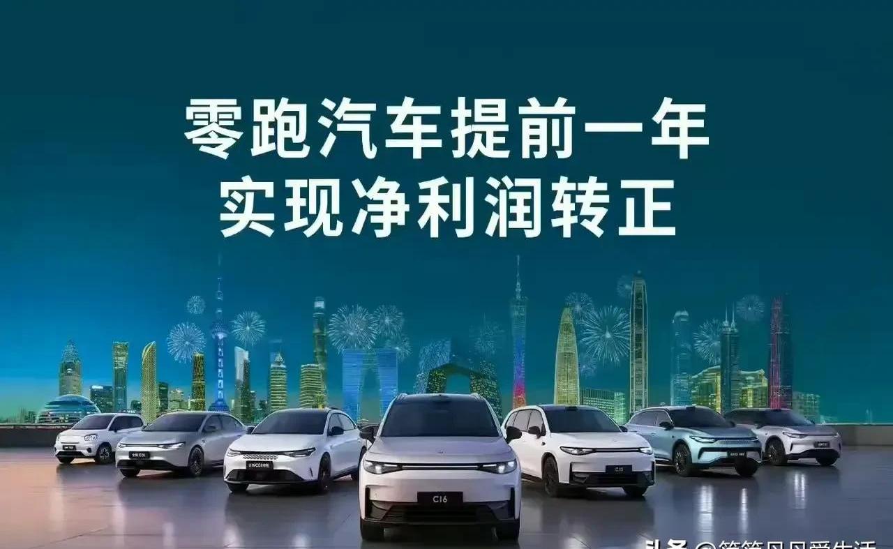 新能源汽车下乡要让补贴直达消费者，“谁用车，谁拿到钱”