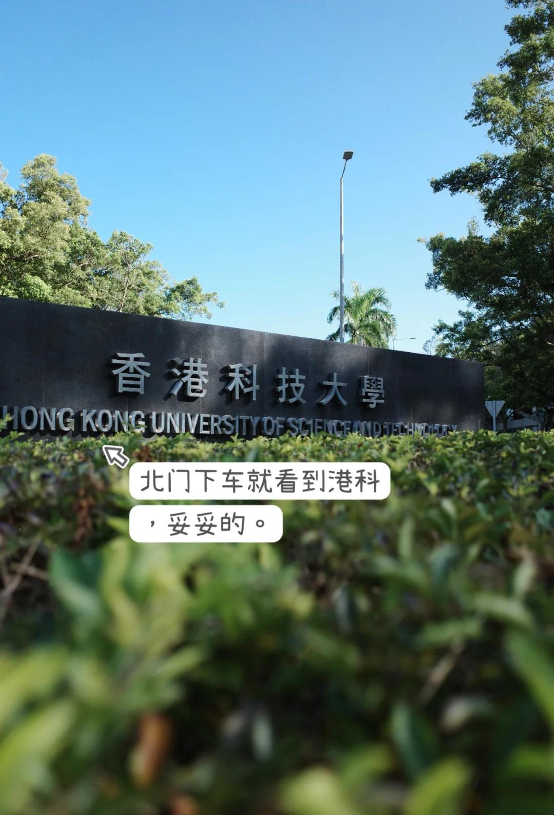 科强股份盘中创历史新高