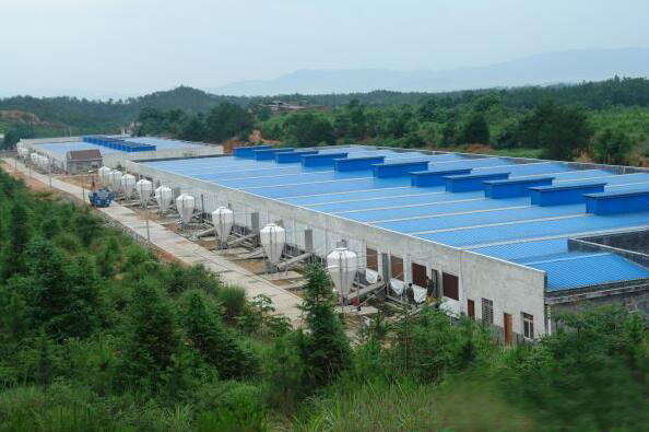 唐人神：5月生猪销售收入同比上升44.97%