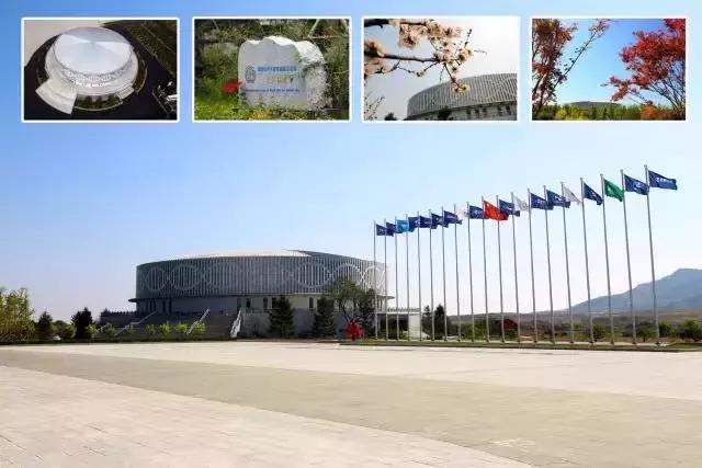 海归科学家黄志伟：择安静一隅 探索生命奥秘