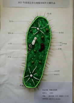 海归科学家黄志伟：择安静一隅 探索生命奥秘
