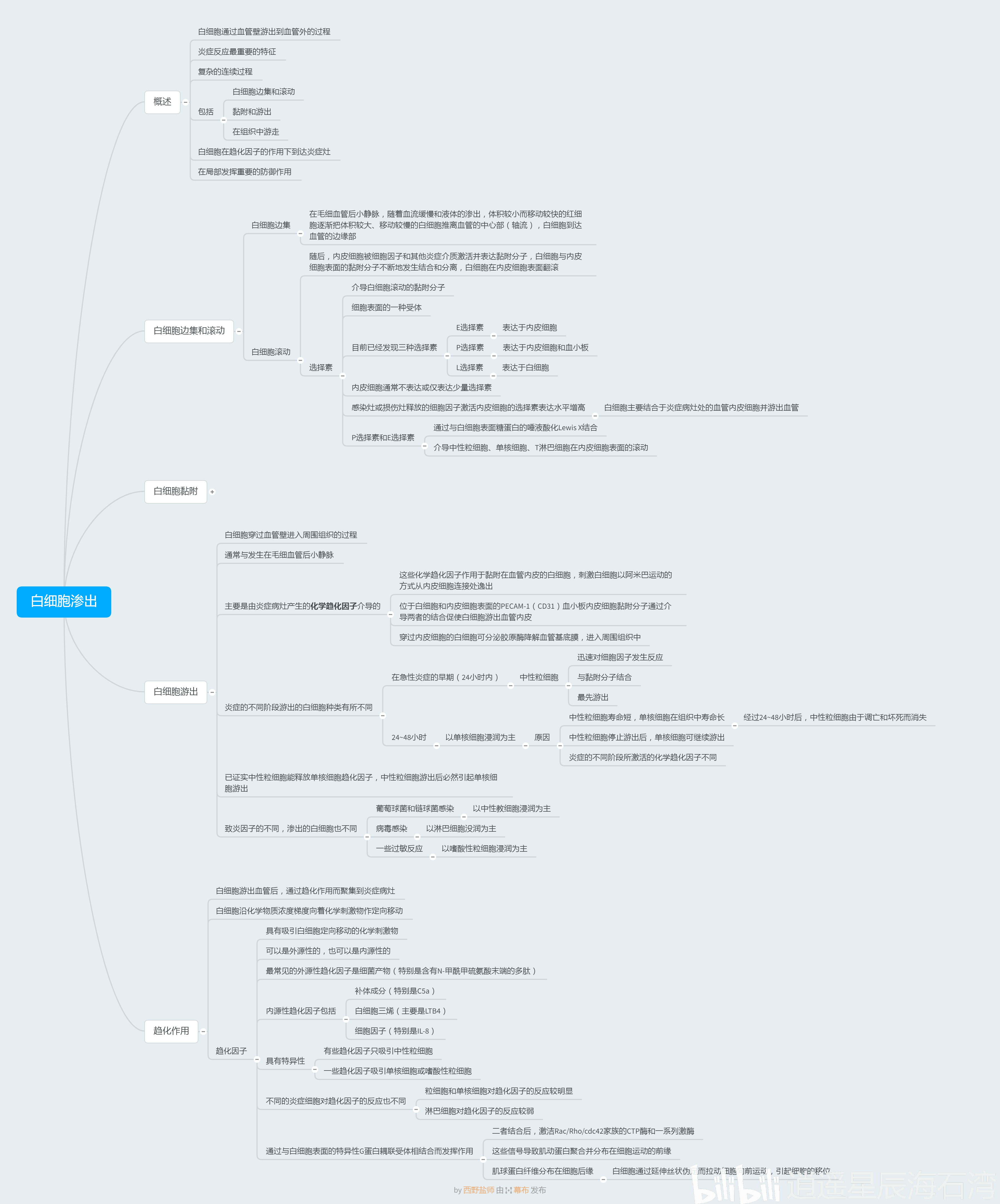 新研究发现可能抑制炎症风暴的细胞膜“开关”