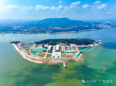 海王生物引援广东国资失败 “新生”的机会在哪里？