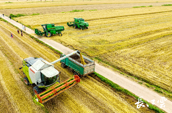 机械城堡”为小麦智能“控水”
