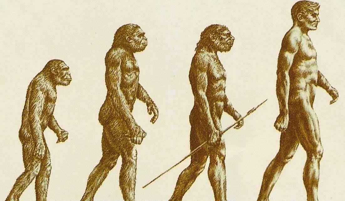 远古发现｜我国科学家把丹尼索瓦人同日推上两大顶刊