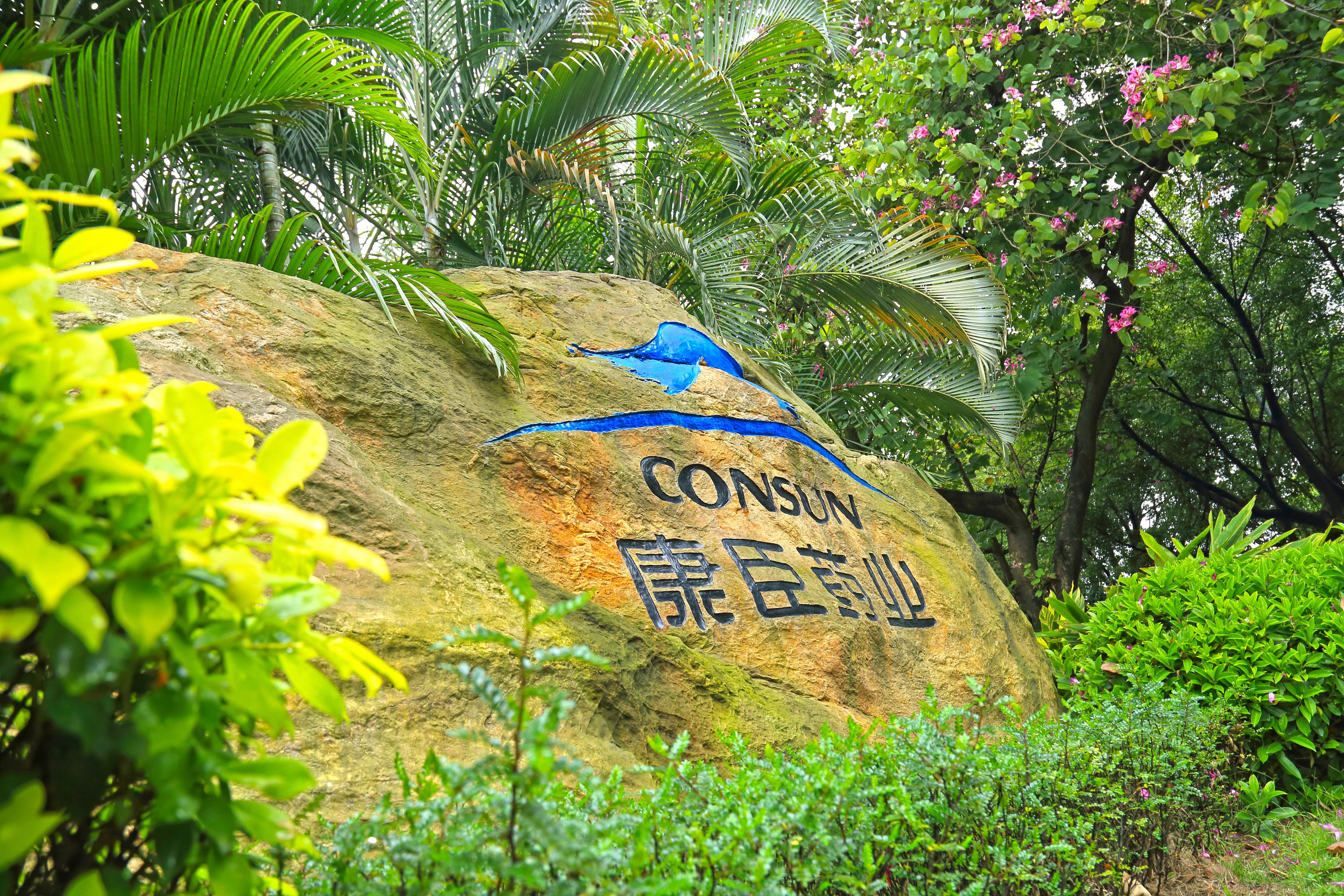 康臣药业(01681.HK)6月18日回购45.50万股，耗资511.65万港元