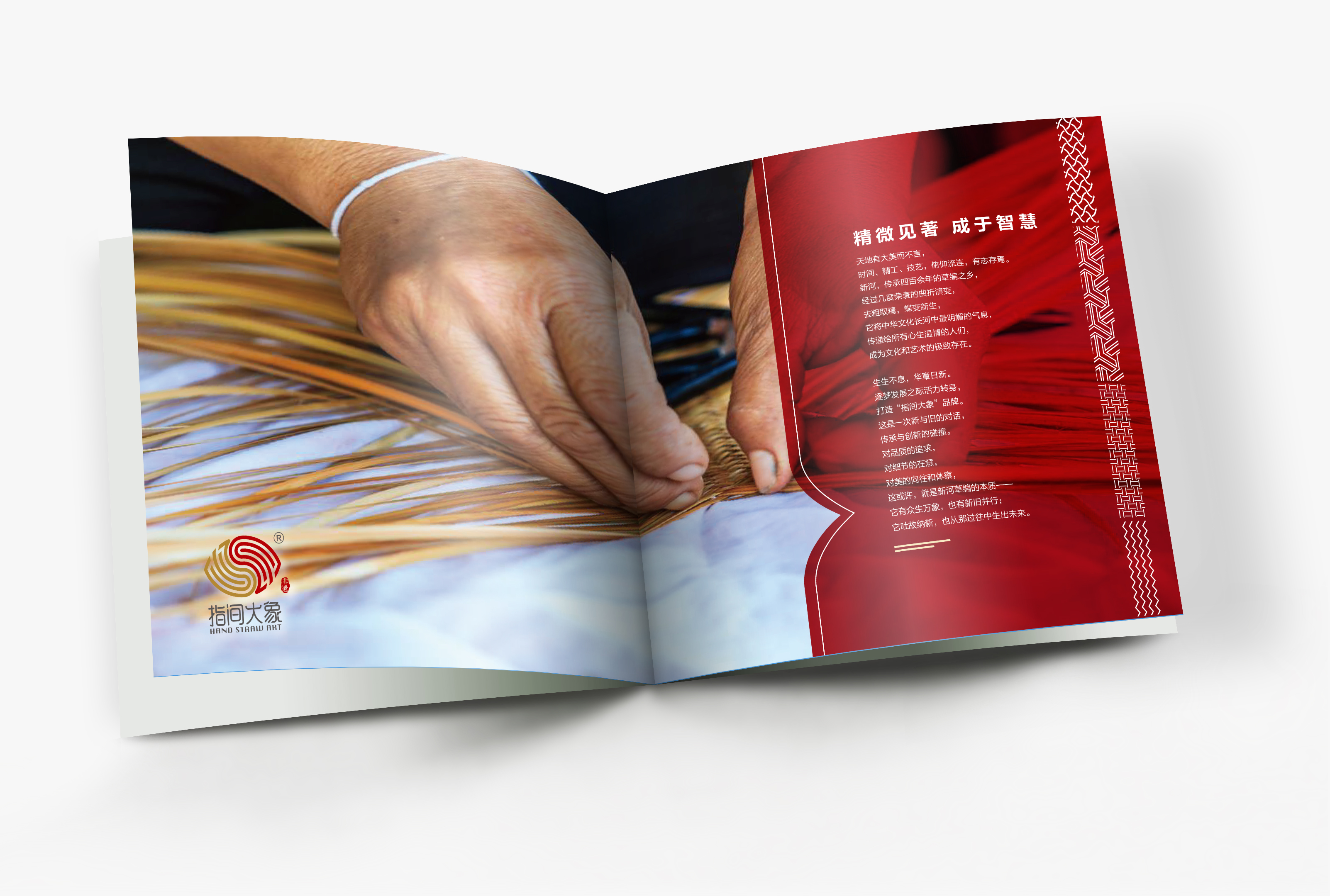 蚂蚁消金林嘉南：大模型赋能交互式智能风控，额度互动促进金融健康