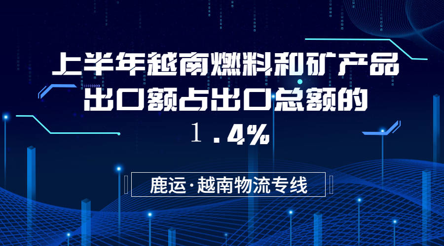 2025年前5月越南新成立和复工复产企业增长11.3%