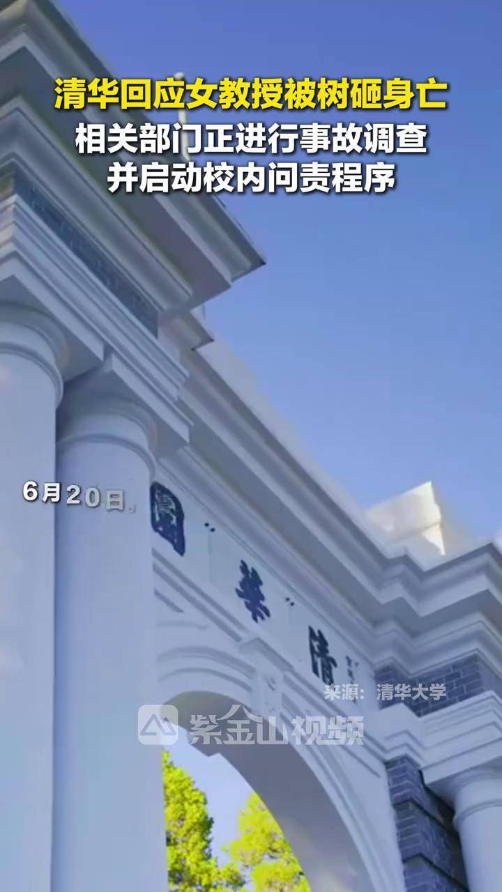 清华回应女教授被树砸身亡