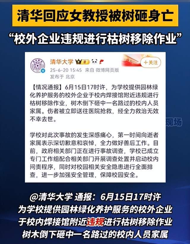 清华回应女教授被树砸身亡