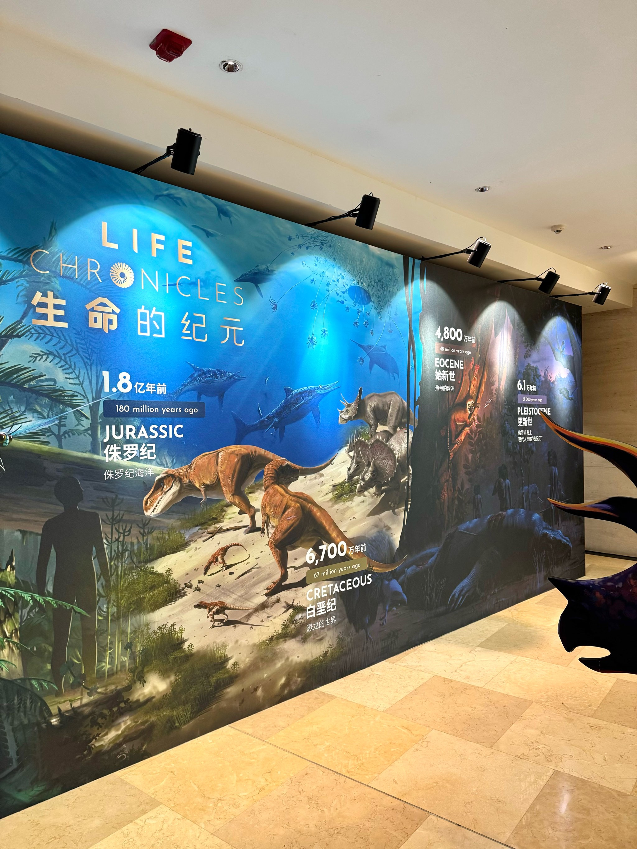 16部虚拟现实作品亮相上海国际电影节 打造视听交互体验