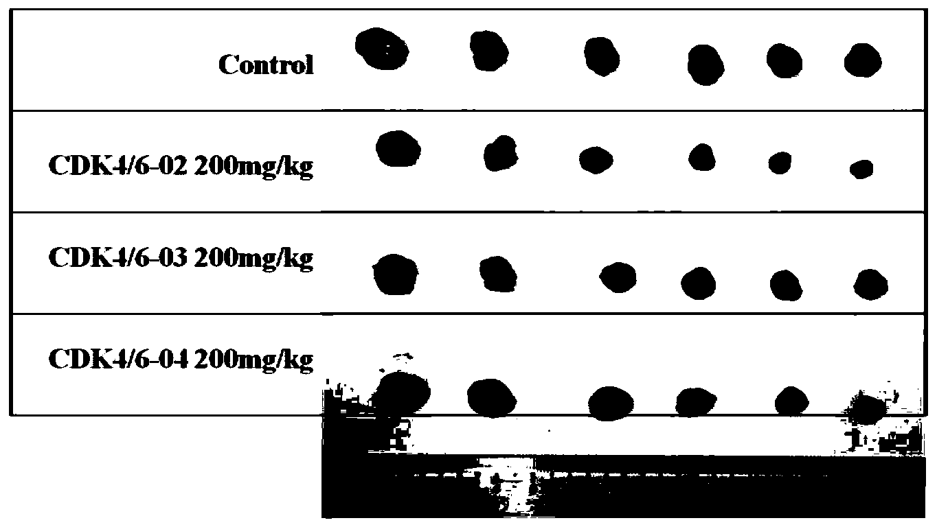 帝科股份获得发明专利授权：“一种导电银浆、其制备方法和应用”