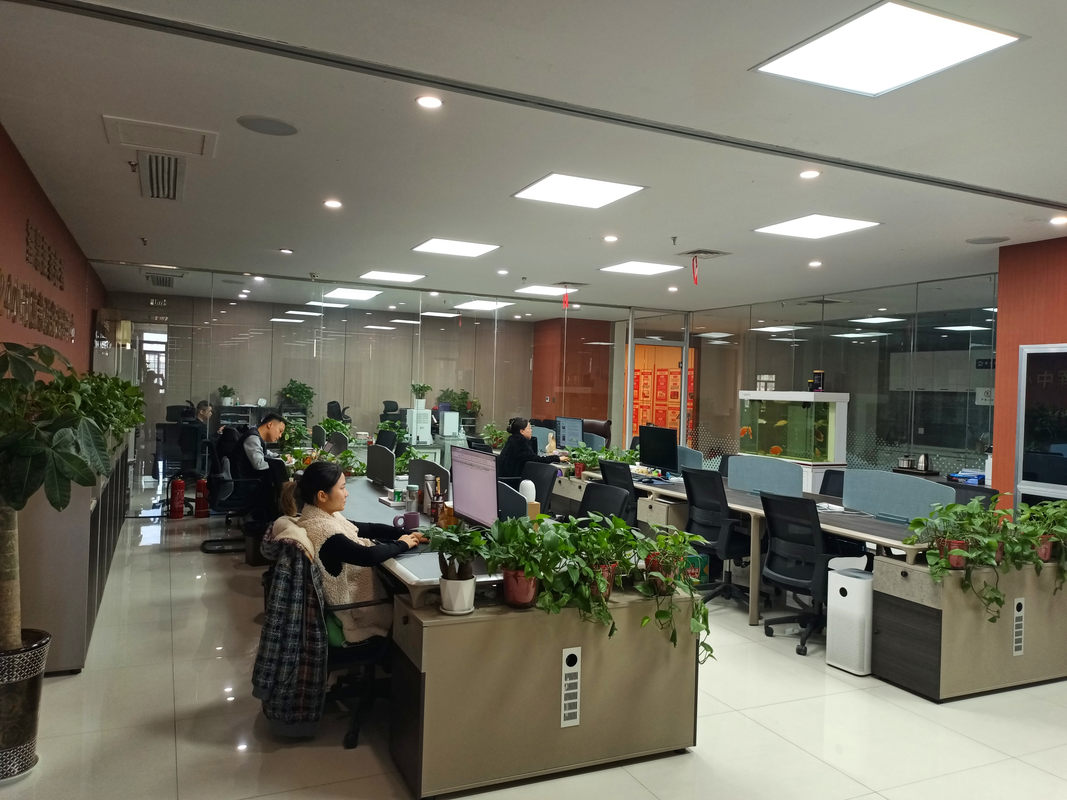 国际青年“智见”大湾区科技活力