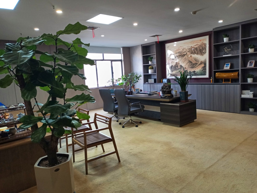 国际青年“智见”大湾区科技活力