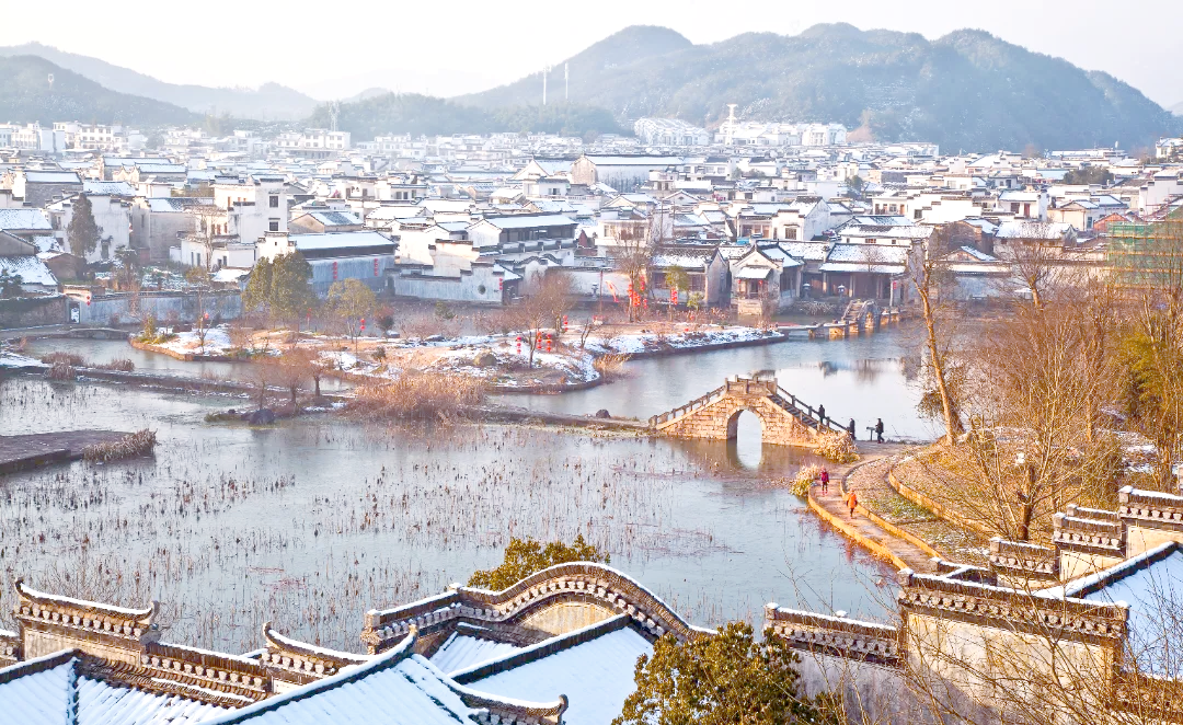 看完徽州的粉墙黛瓦，别忘了到这个博物馆看一看｜博物馆巡游