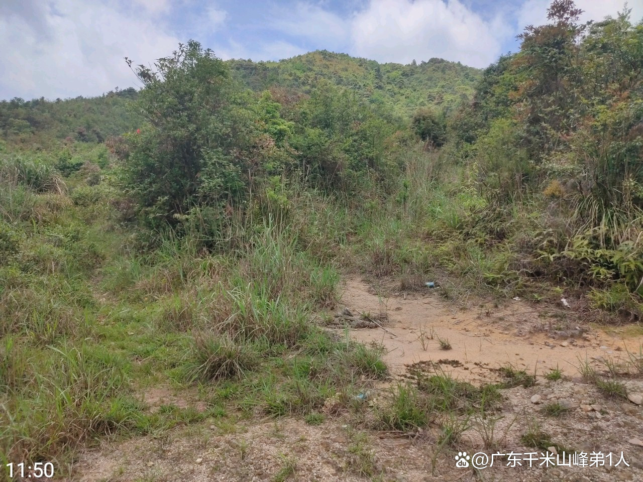 太离谱！“小区内竟要修路114公里”，5000多户的超级大盘，近1200万元维修金成了某些人的“提款机”！业委会原主任被抓