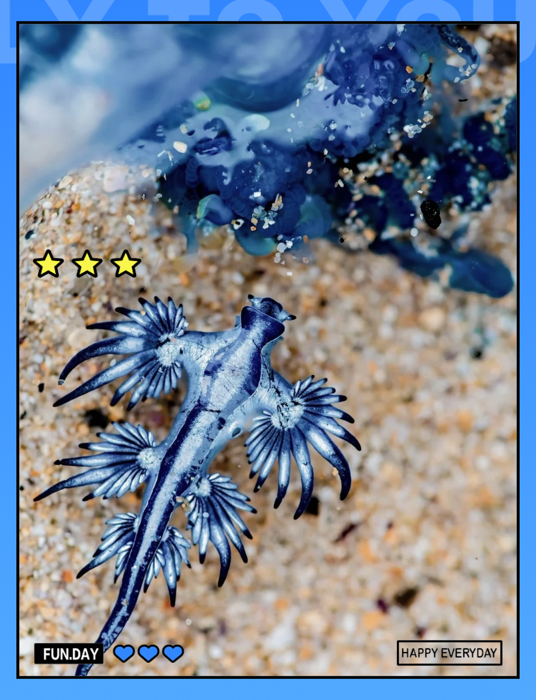 自然资源部：壮大海洋能、海洋生物医药和生物制品等海洋新兴产业，发展蓝色金融