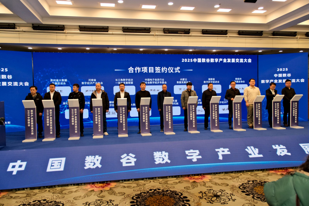 2025全球数字经济大会数字人才国际合作论坛在京举办