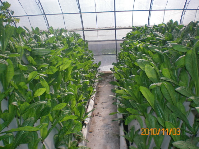 蒙草生态获得实用新型专利授权：“一种植物根系生长检测设备”