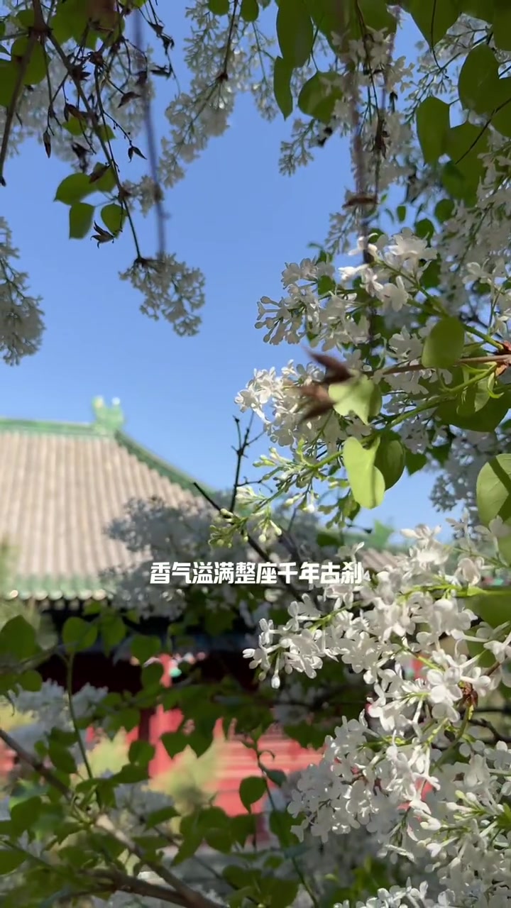 映翰通大宗交易成交3003.00万元