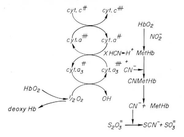 阳谷华泰获得发明专利授权：“一种有机浓缩废液的干燥装置及处理方法”