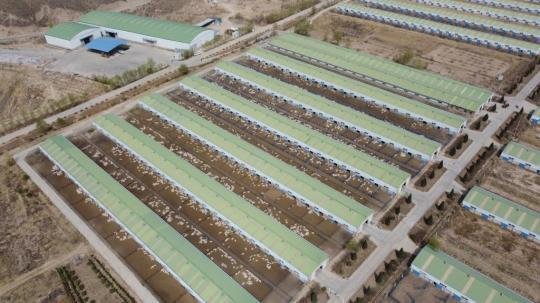 亚盛集团在甘肃成立农业科技新公司