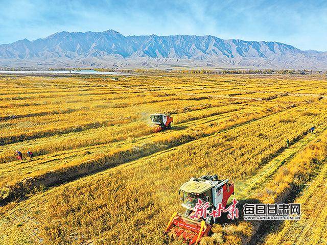 亚盛集团在甘肃成立农业科技新公司