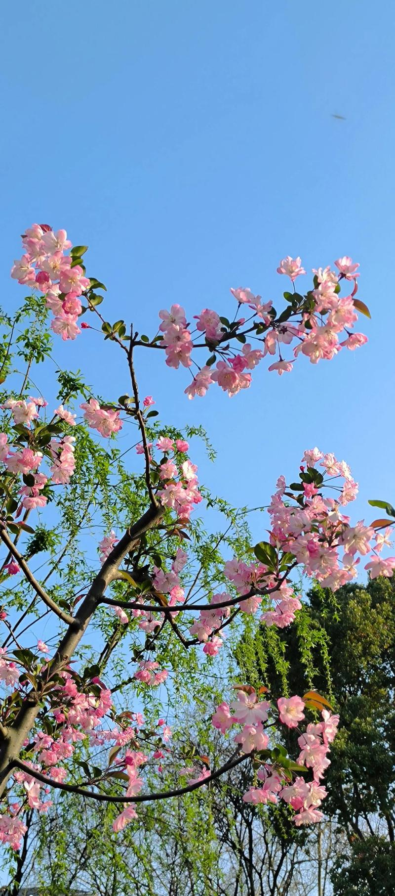 指数产品成公募FOF心头好