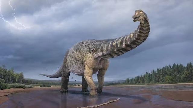 云南武定发现东亚最早的蜥脚型类恐龙