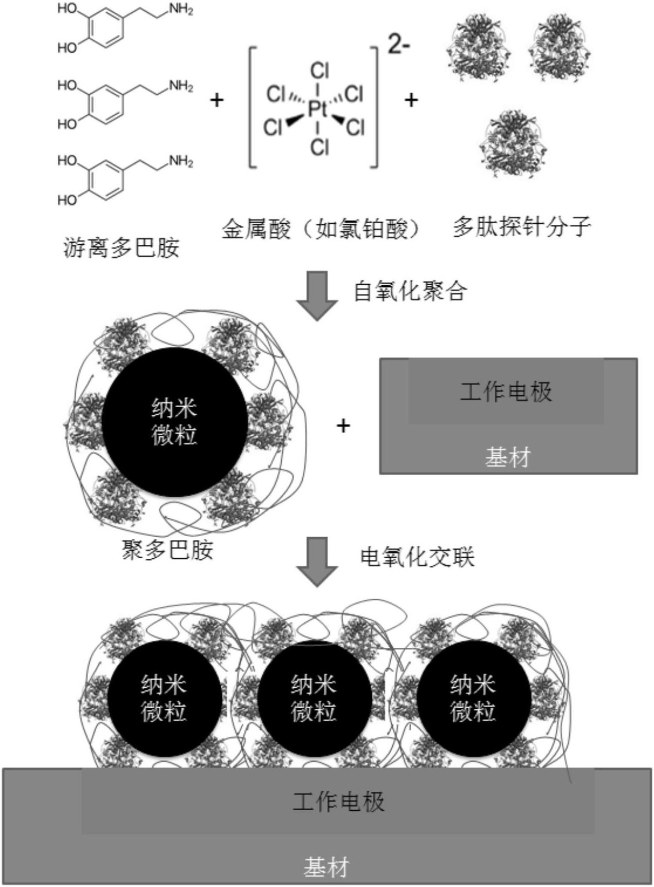中国广核获得发明专利授权：“主泵转速传感器探针定位装置”