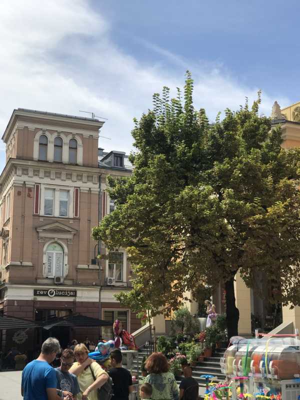 波黑联邦今年5月平均净工资为1590马克