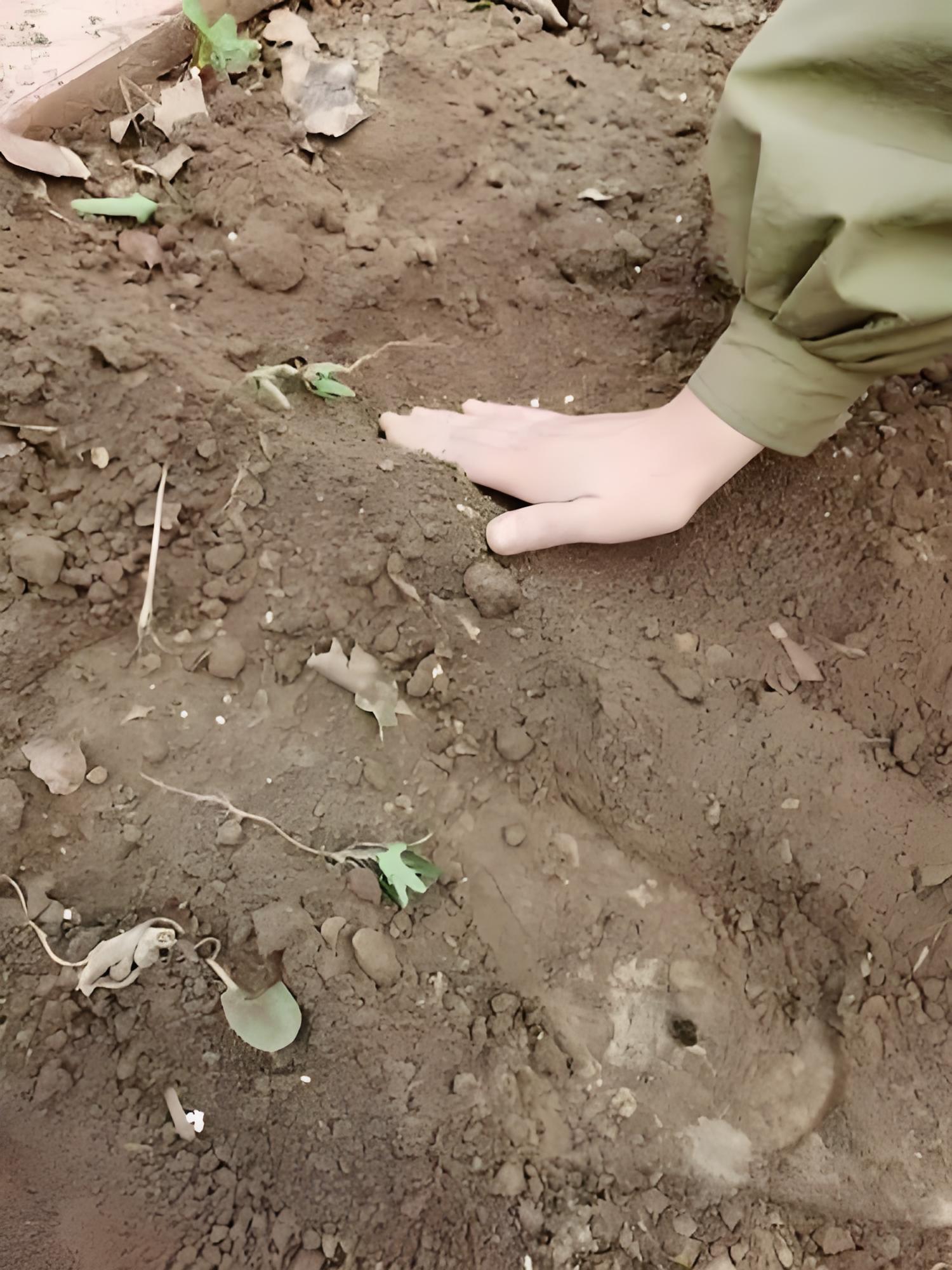 深度了解自己｜羞耻感，自我接纳的最大障碍