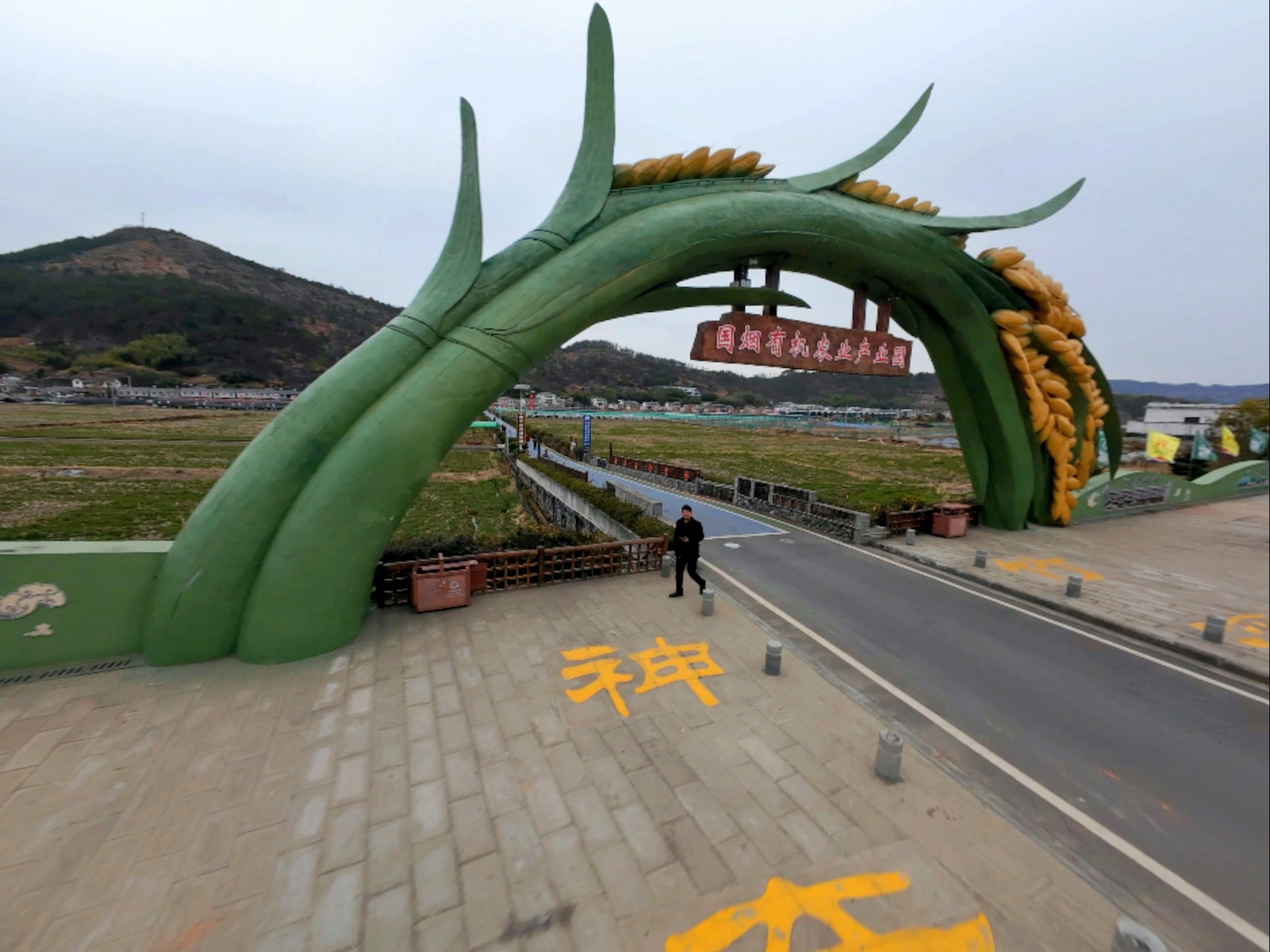 湖北竹溪：好生态激活林下“凉经济”