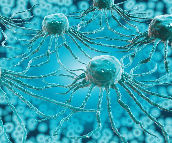 研究发现全新物态“量子液晶”