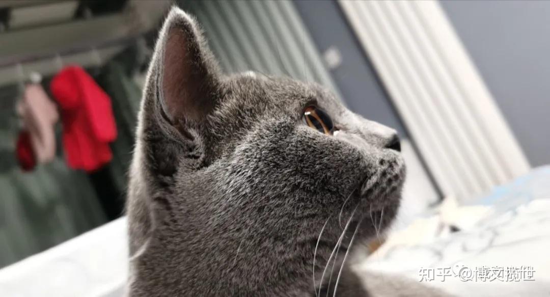 海博思创等新设国际控股公司，含大数据服务业务