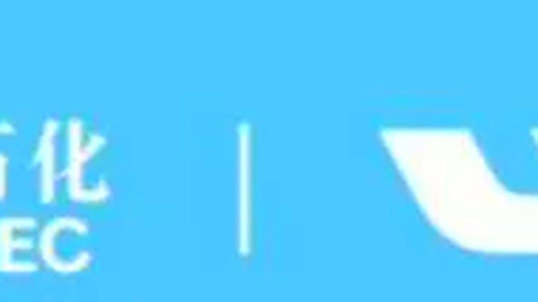 中国石化成交额创2024年10月9日以来新高