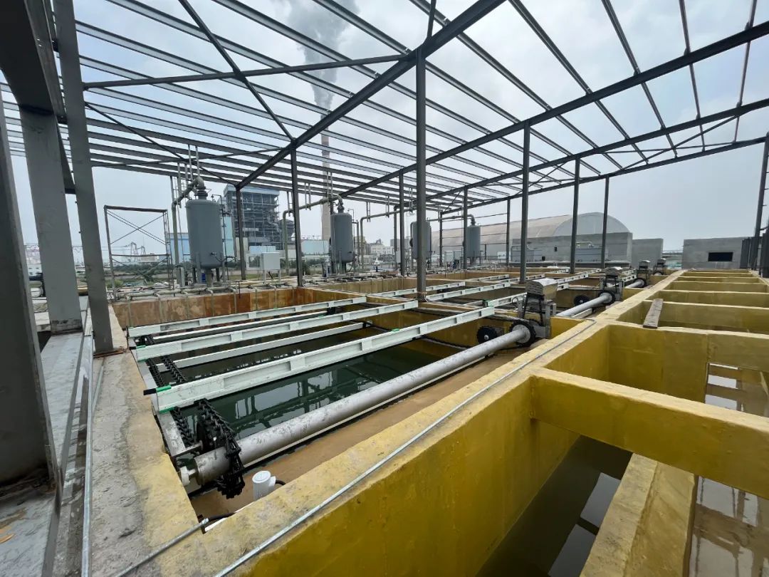 望变电气(603191.SH)：同意选举胡守天为第四届董事会副董事长