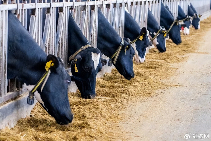 奥特佳：间接持有青海恒信融锂业部分股权