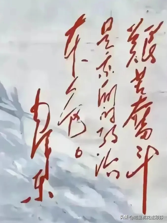 党旗在基层一线高高飘扬丨以赤诚扎根一线 用科技润泽棉田