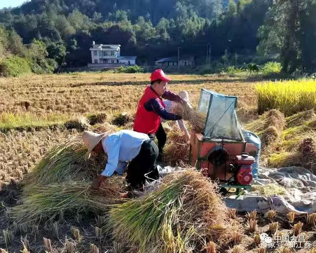 卢锋：化解供强需弱矛盾需优化公共资源配置――我国公共部门资源总量规模与用途估测（上）