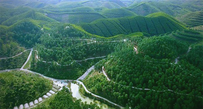 阿尔及利亚在产业多元化背景下推动进口替代项目布局