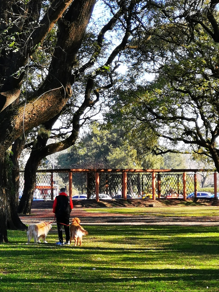 阿根廷布宜诺斯艾利斯省启动萨拉多河水利综合治理第五阶段工程招标