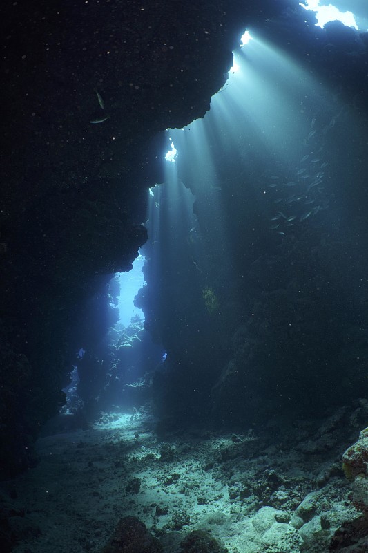 “海洋暗波”框架为揭示海洋光照危机提供新视角