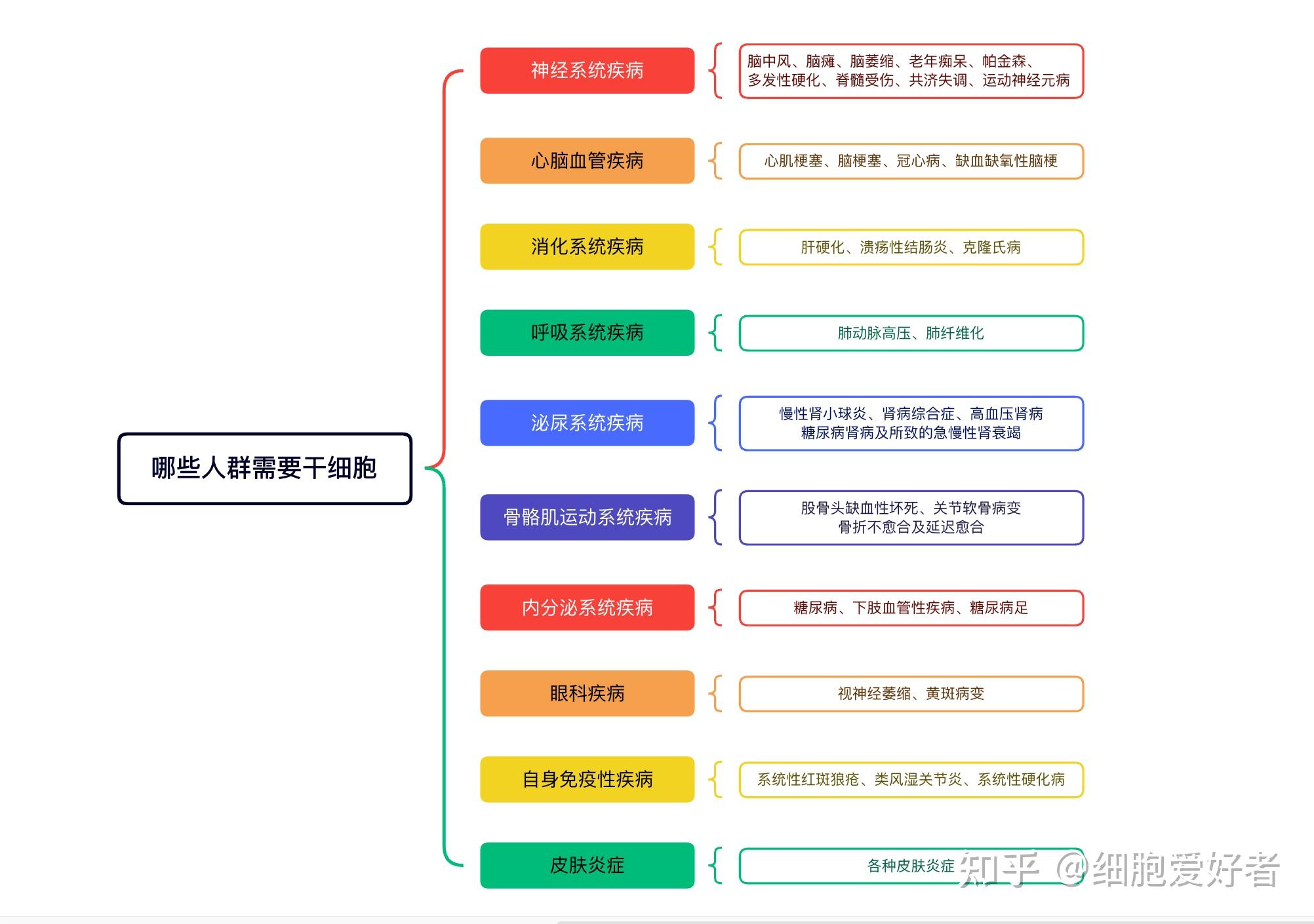 干细胞新技术可望降低细胞疗法成本